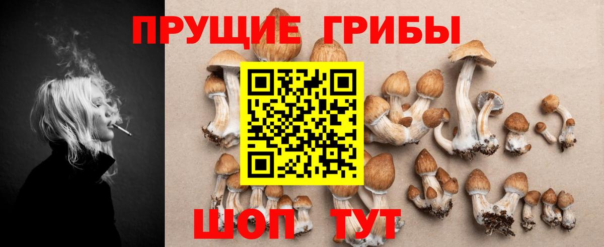 Галлюциногенные грибы Psilocybine cubensis Гагарин